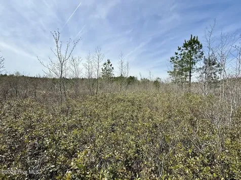 0 Guinea Mill Road Ernul NC 28527