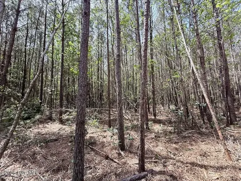 0 Guinea Mill Road Ernul NC 28527