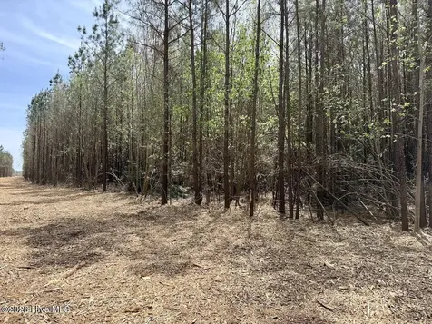 0 Guinea Mill Road Ernul NC 28527
