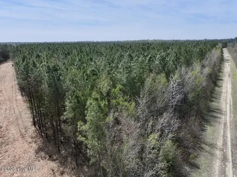0 Guinea Mill Road Ernul NC 28527