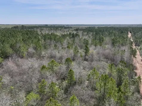 0 Guinea Mill Road Ernul NC 28527