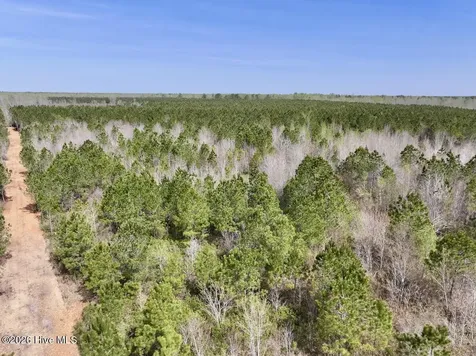 0 Guinea Mill Road Ernul NC 28527