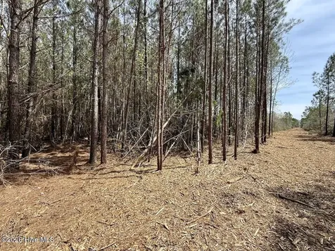 0 Guinea Mill Road Ernul NC 28527