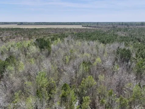 0 Guinea Mill Road Ernul NC 28527