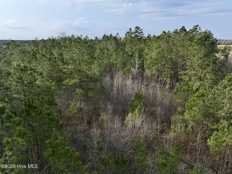 0 Guinea Mill Road Ernul NC 28527