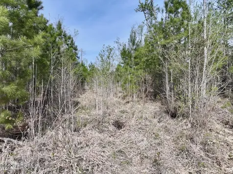 0 Guinea Mill Road Ernul NC 28527