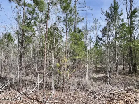 0 Guinea Mill Road Ernul NC 28527
