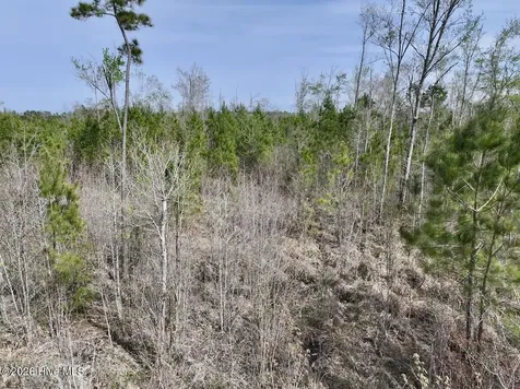 0 Guinea Mill Road Ernul NC 28527
