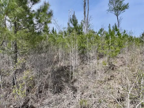 0 Guinea Mill Road Ernul NC 28527