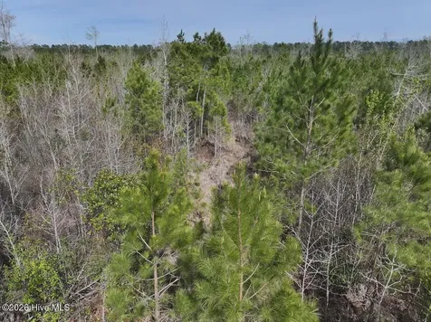 0 Guinea Mill Road Ernul NC 28527
