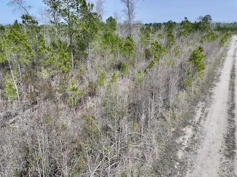 0 Guinea Mill Road Ernul NC 28527