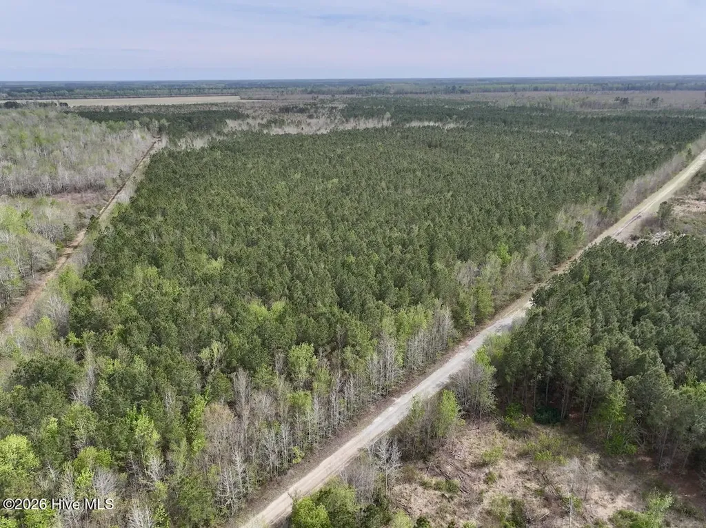 0 Guinea Mill Road Ernul NC 28527