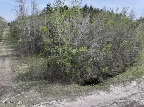 0 Guinea Mill Road Ernul NC 28527