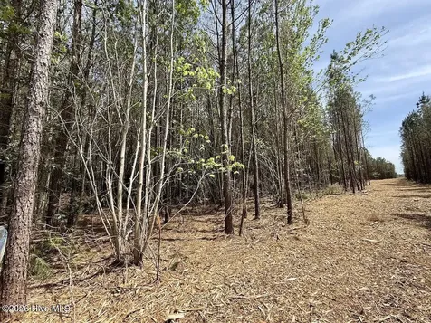0 Guinea Mill Road Ernul NC 28527