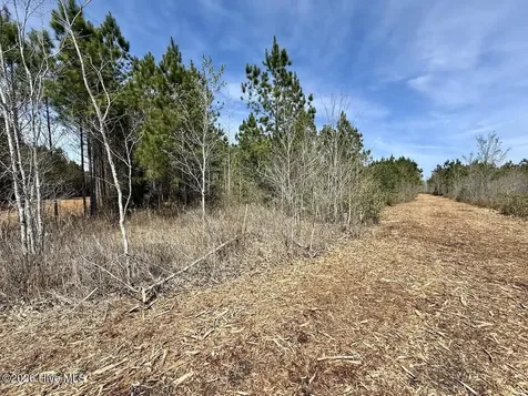 0 Guinea Mill Road Ernul NC 28527
