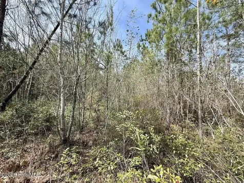 0 Guinea Mill Road Ernul NC 28527