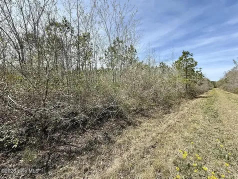 0 Guinea Mill Road Ernul NC 28527