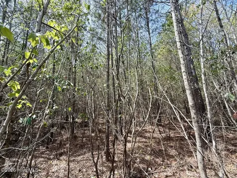 0 Guinea Mill Road Ernul NC 28527