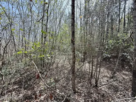 0 Guinea Mill Road Ernul NC 28527