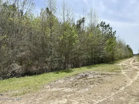 0 Guinea Mill Road Ernul NC 28527