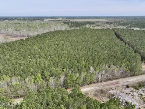 0 Guinea Mill Road Ernul NC 28527