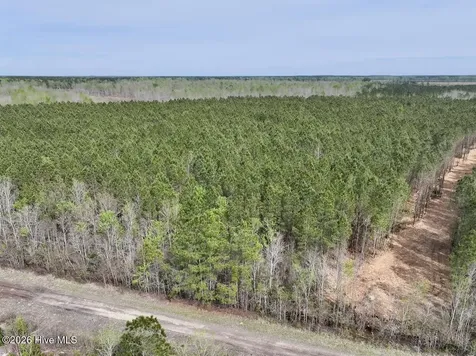 0 Guinea Mill Road Ernul NC 28527