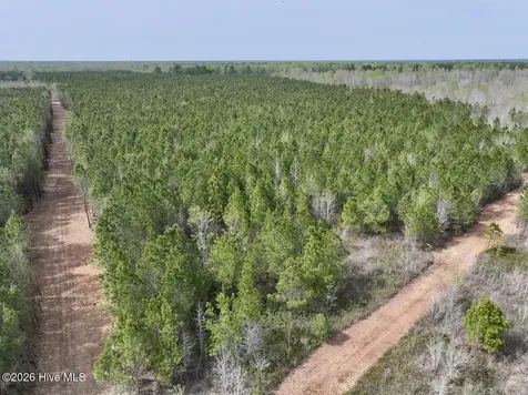 0 Guinea Mill Road Ernul NC 28527