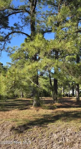 2910 Moorings Way SE Southport NC 28461