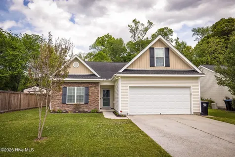 1017 Bally Bunion Lane Burgaw NC 28425