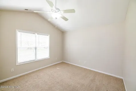 1017 Bally Bunion Lane Burgaw NC 28425
