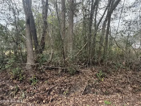 0000 Green Loop Road NE Leland NC 28451