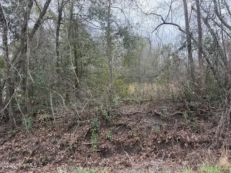 0000 Green Loop Road NE Leland NC 28451