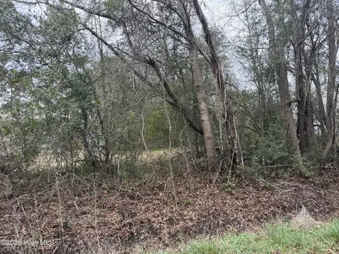 0000 Green Loop Road NE Leland NC 28451