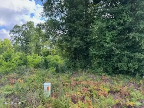 Tract A Leland School Road NE Leland NC 28451