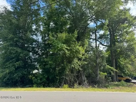 Tract A Leland School Road NE Leland NC 28451