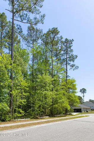 2574 Provence Drive SE Bolivia NC 28422