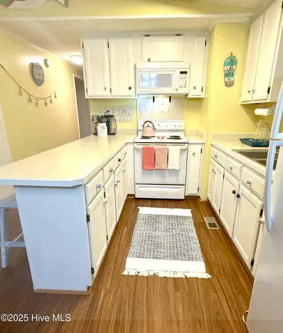 311 Gunas Drive Kill Devil Hills NC 27948