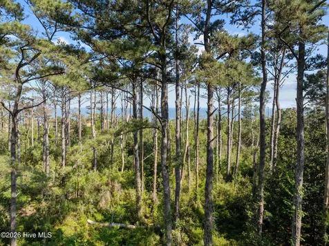 1369 Army Camp Road Davis NC 28524