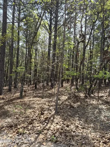 4 Brassie Lane Foxfire Village NC 27281