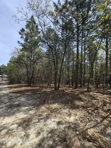 4 Brassie Lane Foxfire Village NC 27281