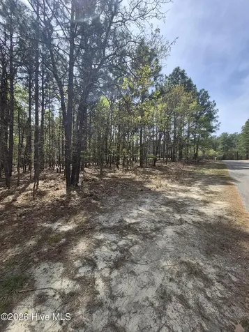 4 Brassie Lane Foxfire Village NC 27281