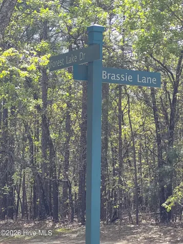 4 Brassie Lane Foxfire Village NC 27281