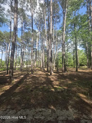 Lot #46 Juniper Lane Currie NC 28435