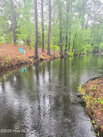 Lot #46 Juniper Lane Currie NC 28435