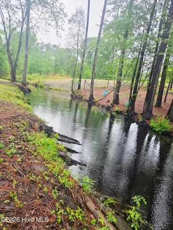 Lot #46 Juniper Lane Currie NC 28435