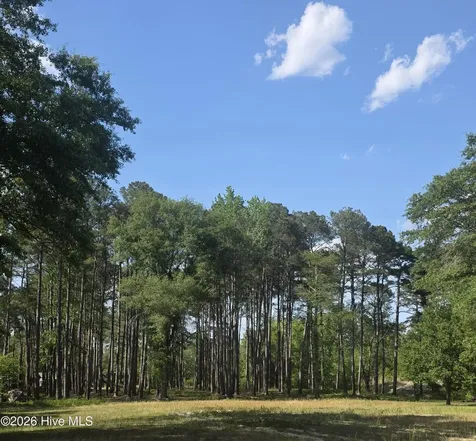 Lot #46 Juniper Lane Currie NC 28435