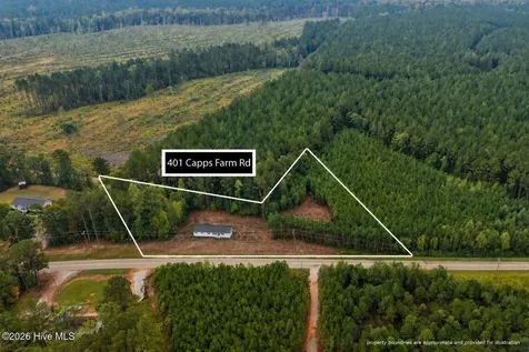 401 Capps Farm Road Hollister NC 27844