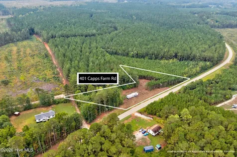 401 Capps Farm Road Hollister NC 27844