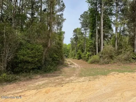 408 Guy Sanderson Road Albertson NC 28508
