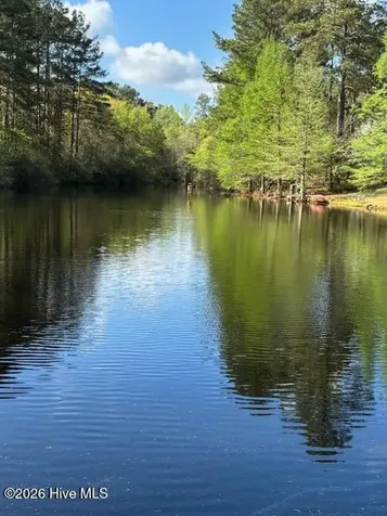 1801 Mcdonald Avenue Hamlet NC 28345